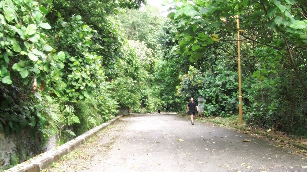 bukitkiara pathway with ppl