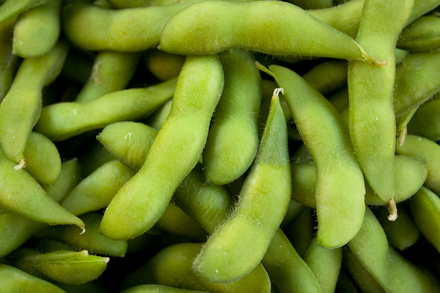 Bean Seeds Edamame Soybean Vegetable Seeds