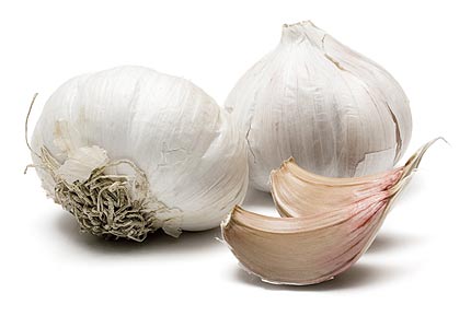 garlic