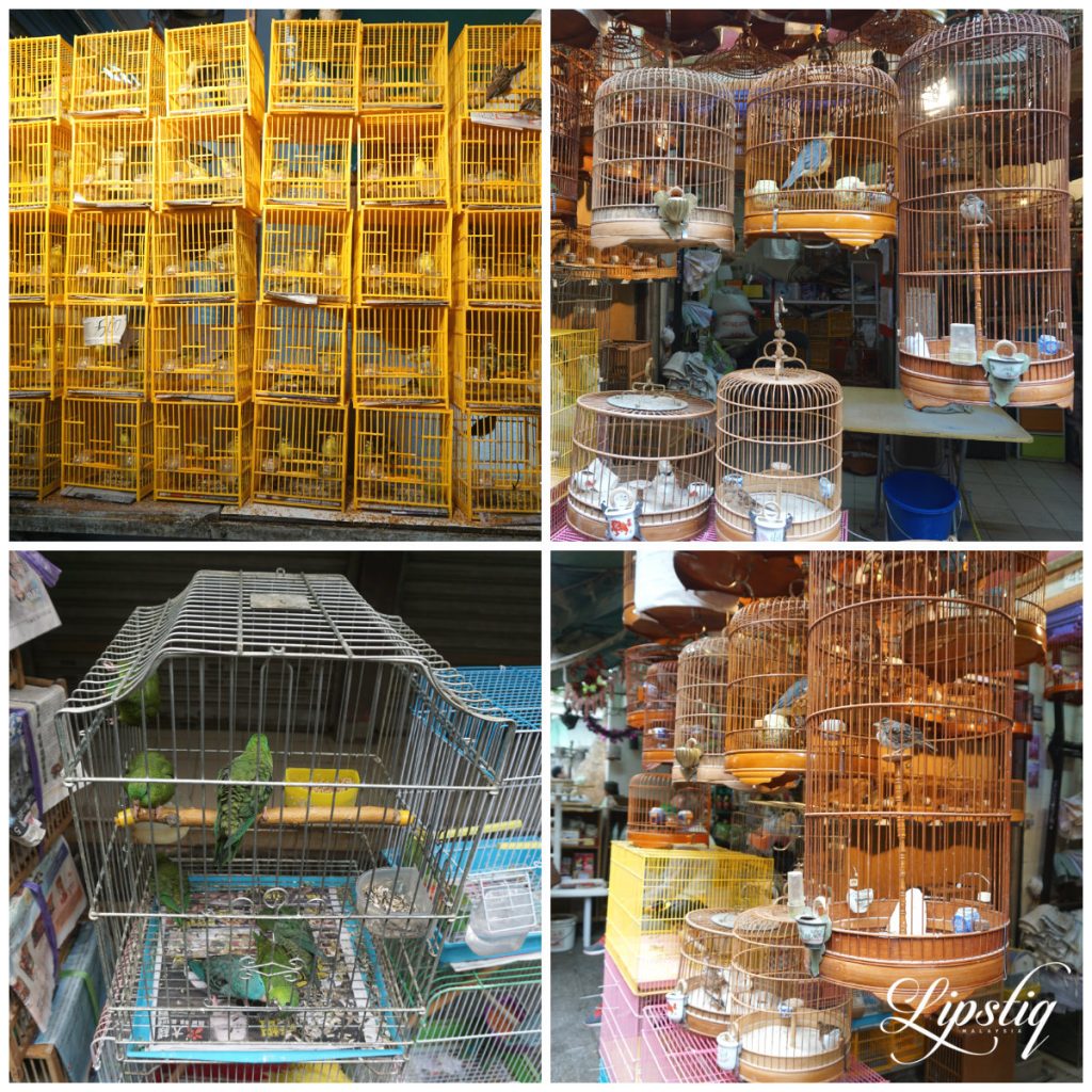 bird market collage