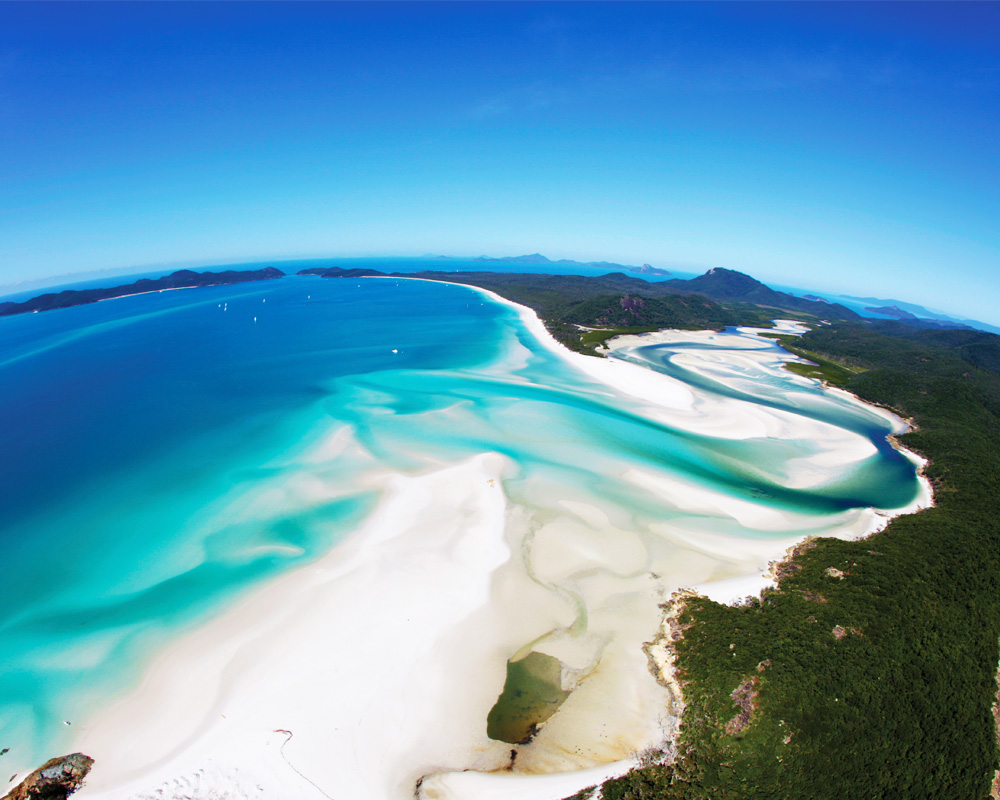 Photo: airliebeachonline.com.au