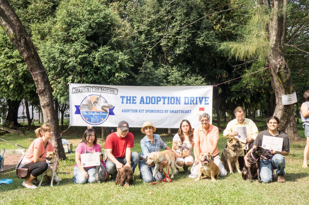 SPCA - Adoption Drive (2)