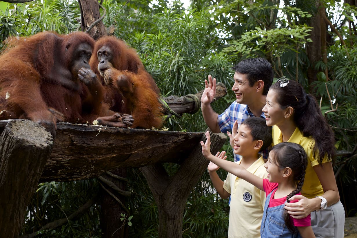 Singapore Zoo