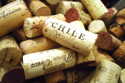 chilean_wines_81465906559_article_big